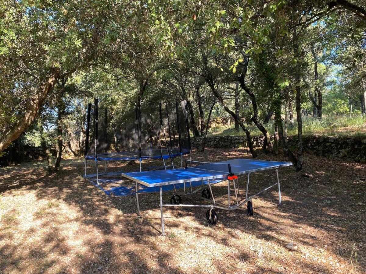 La Vie Est Belle En Provence Bed and Breakfast Tourves Εξωτερικό φωτογραφία