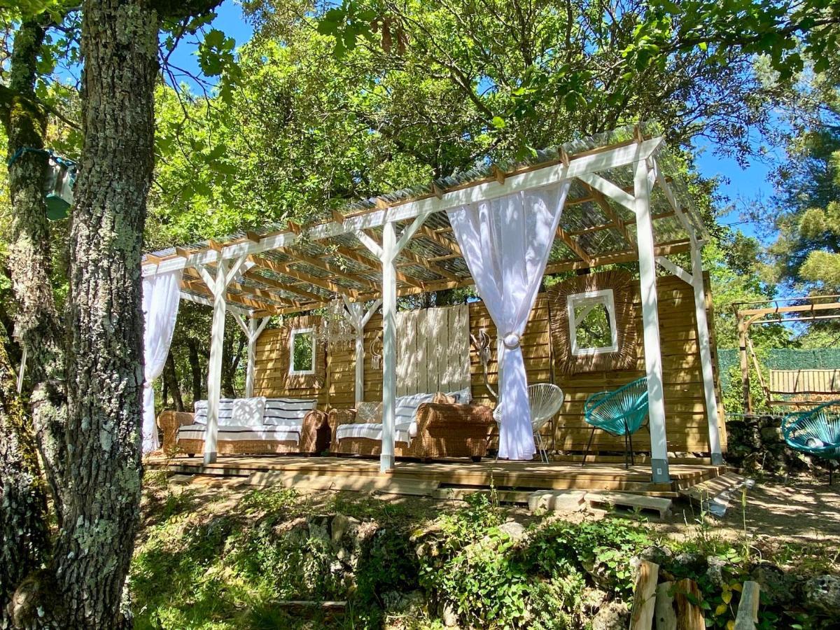 La Vie Est Belle En Provence Bed and Breakfast Tourves Εξωτερικό φωτογραφία