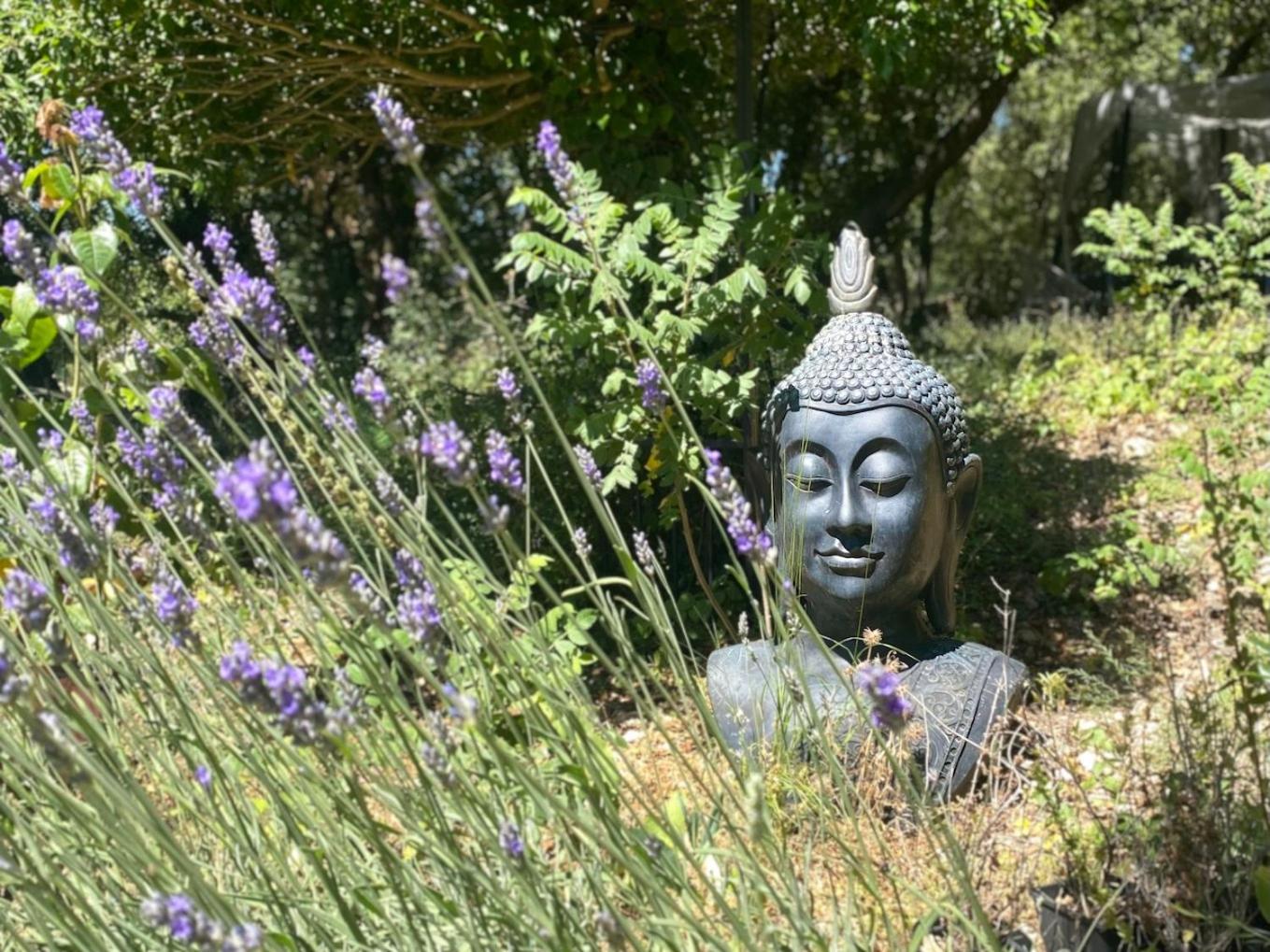 La Vie Est Belle En Provence Bed and Breakfast Tourves Εξωτερικό φωτογραφία
